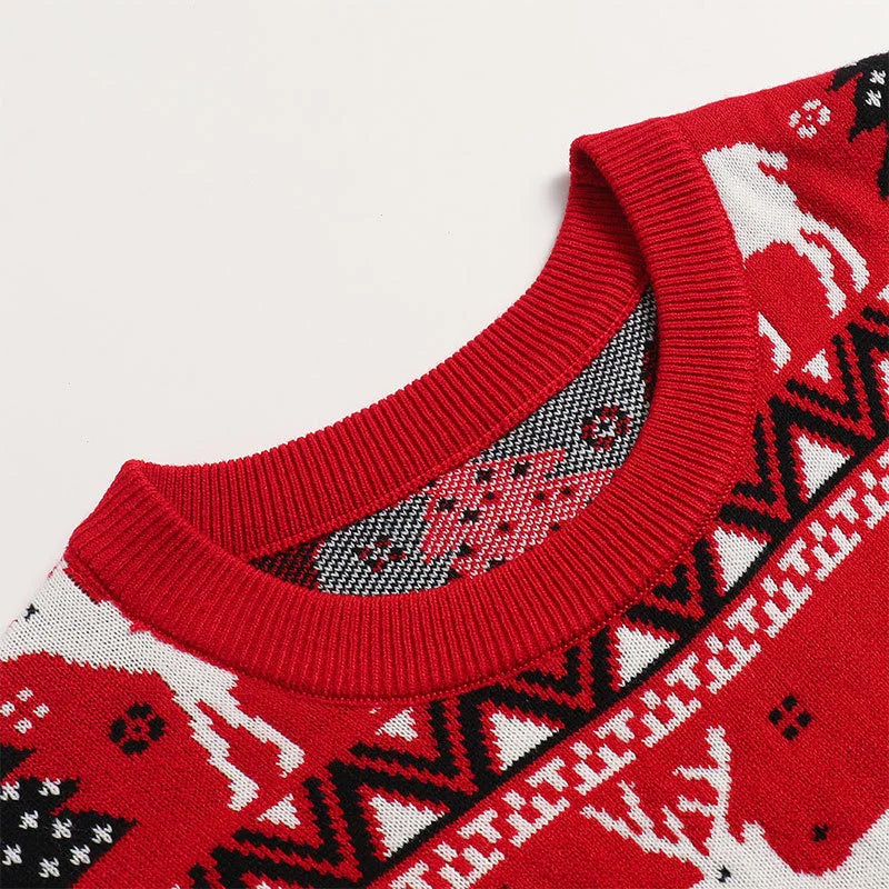 Pulls de Noël Assortis Famille